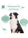 Shampoo repellente per insetti con citronella 300ml unisex