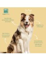Profumo unisex alla vaniglia per cani Men For San 125ml