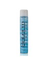 Lacca per capelli normale Salerm 650ml