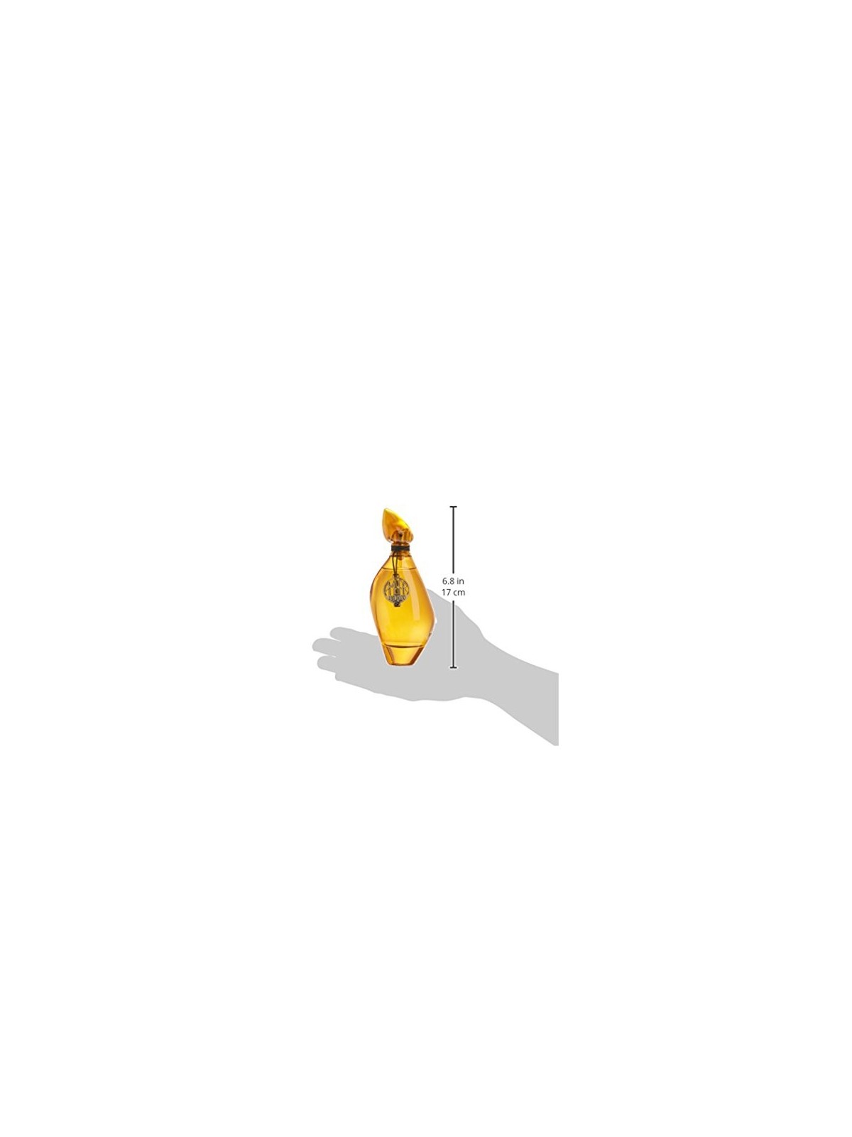 Jesus Del Pozo ï¿½ï¿½mbar Eau De Toilette Spray 100ml Set 2 Pezzi Donna