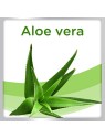 Bloom Gel Post Puntura con Aloe Vera 10ml unisex