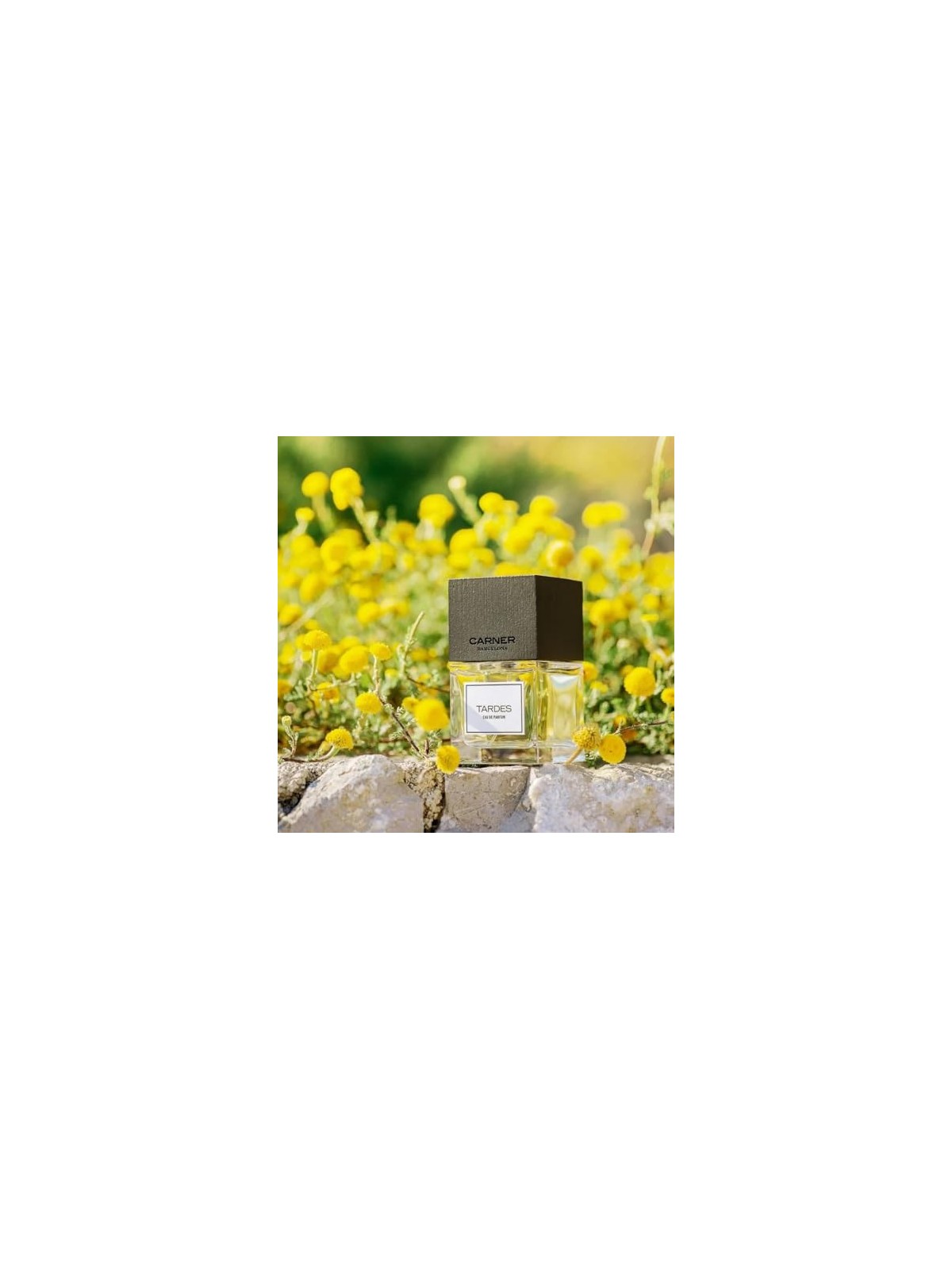 Carner Barcelona Tardes Eau De Parfum 100ml donna