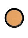 PAESE Iluminating Covering Powder 2C Naturale 9g