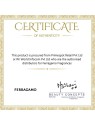 S. Ferragamo Uomo Pour Homme EDT Spray 30ml