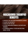Macadamia Shampoo agli estratti oleosi tutti i tipi di capelli donna 400ml