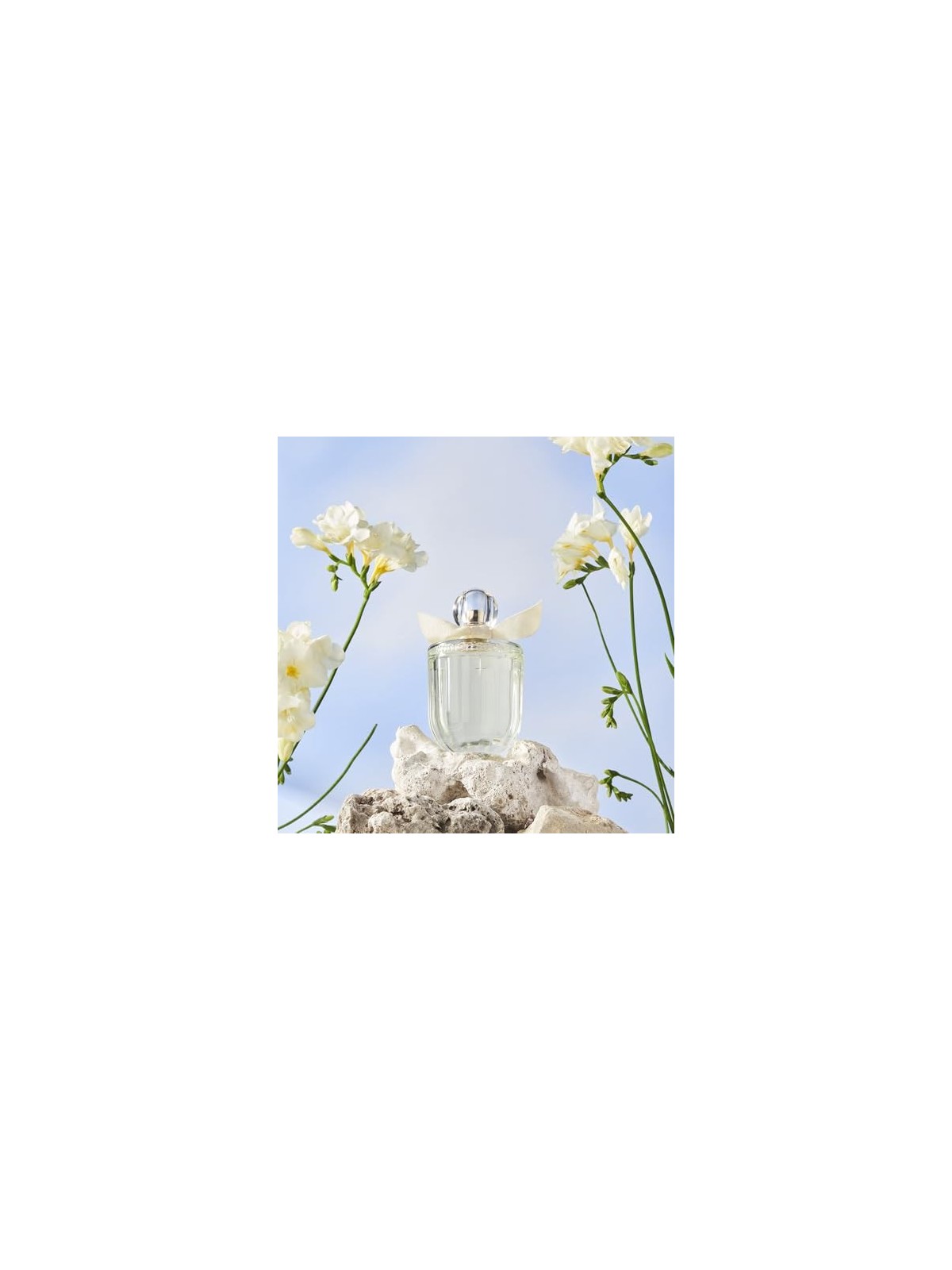 Women'Secret Eau My Dï¿½ï¿½lice Eau De Toilette 100 ml