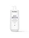 Balsamo Goldwell Just Smooth 1000ml per capelli indisciplinati