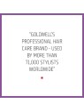 Dualsenses Blondes & Highlights Anti-Brassiness Shampoo
