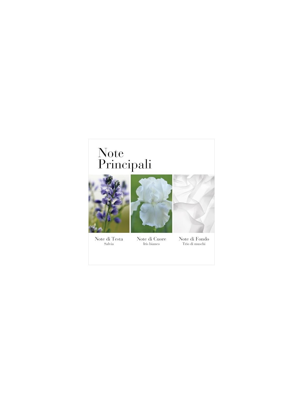 E.Arden White Tea Eau de Toilette Spray donna 50ml