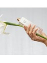 E.Arden White Tea Eau de Toilette Spray donna 50ml