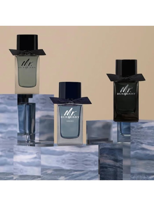 Burberry Mr. Burberry Eau De Parfum 100 ml (man) Burberry Perfumes www.essenzetotalstyle.com 
