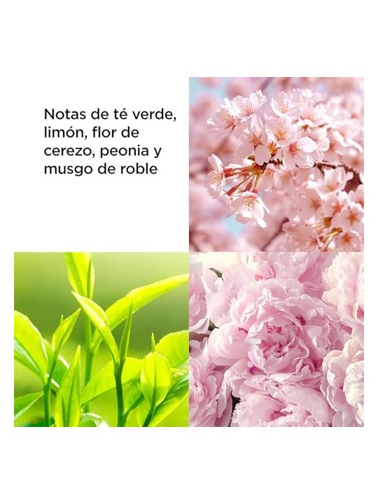 Elizabeth Arden Nebbia di Fiori di Ciliegio 236ml Donna Elizabeth Arden www.essenzetotalstyle.com 