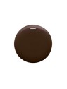 L'Oreal Paris Color Riche 667 L'Atelier Choco
