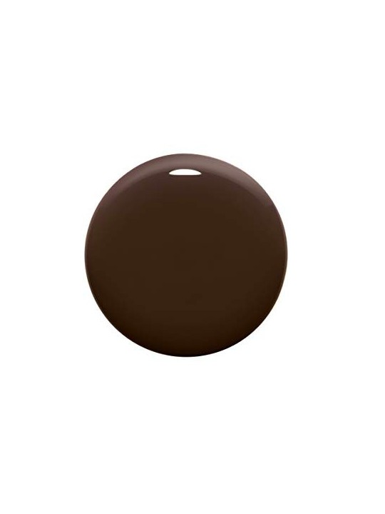 L'Oreal Paris Color Riche 667 L'Atelier Choco