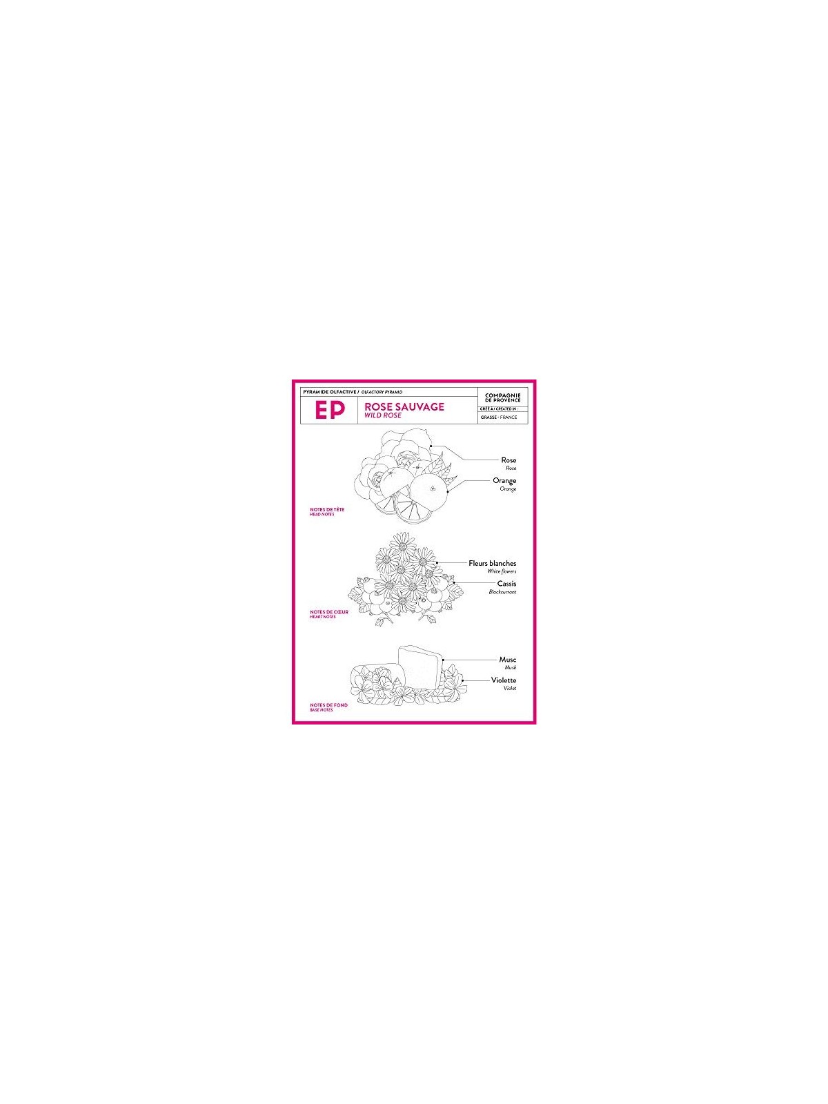 Compagnie De Provence Hand Cream 30ml Wild Rose acquista 