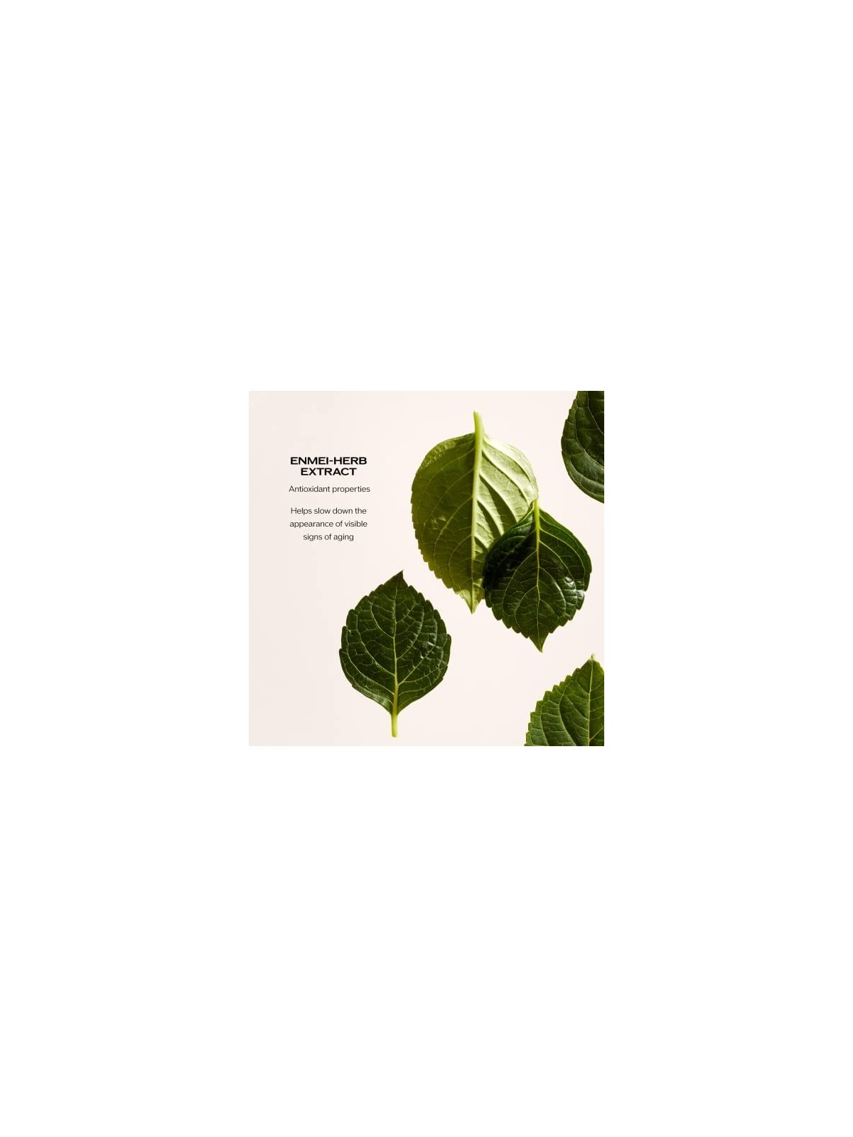 Shiseido Future Solution LX Total Protective Cream SPF20 50ml
