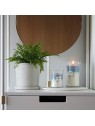 Vaso Calming Retreat Trilogy Rifugio Sereno 609.5g