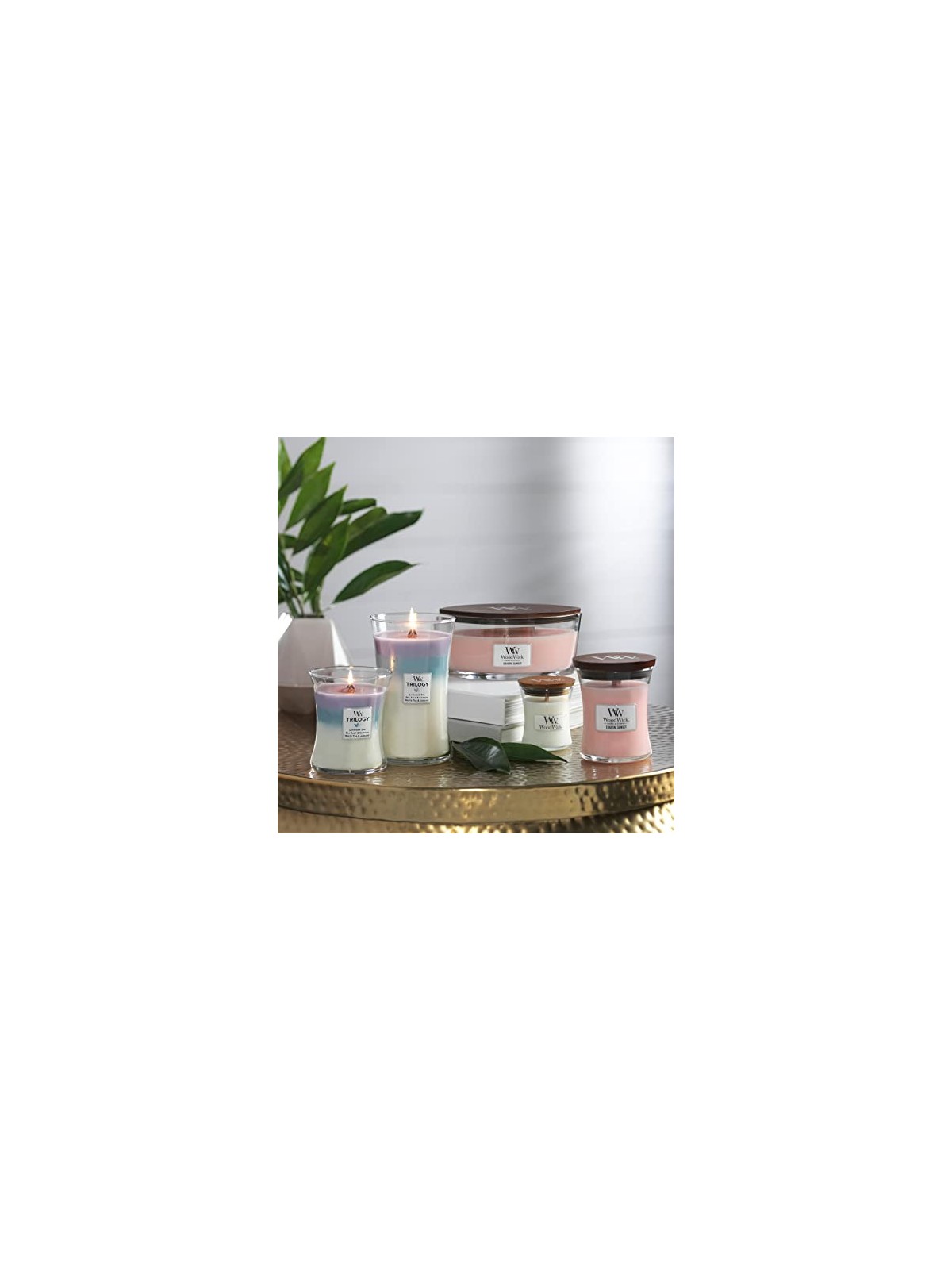 Vaso Calming Retreat Trilogy Rifugio Sereno 609.5g