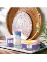 Vaso Calming Retreat Trilogy Rifugio Sereno 609.5g