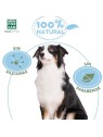Shampoo PERRO eliminador de olores talco 300ml unisex
