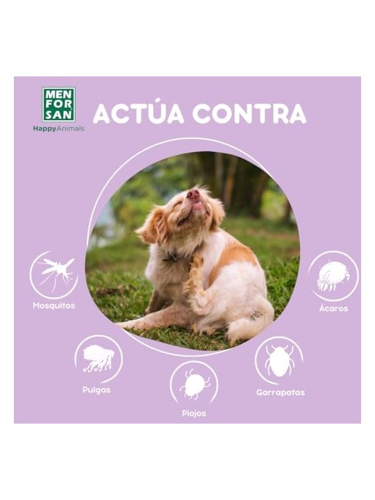Men For San PIPETAS per cane antiinsetti 2 unit unisex