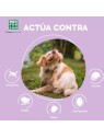 Men For San PIPETAS per cane antiinsetti 2 unit unisex