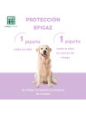 Men For San PIPETAS per cane antiinsetti 2 unit unisex