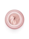 Vichy Neovadiol Rose Platinium Day Creme donna 50ml Beeswax  Calcium-Mature And Skin