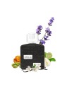 Ramz Lattafa Silver EDP