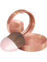 Bourjois Pastel Blush Fard Blush 2 5 g 03 Brun Cuivre
