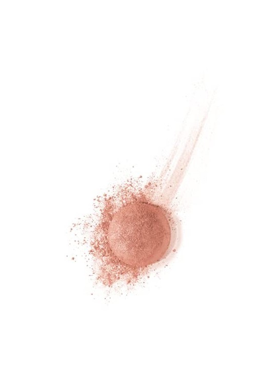 Bourjois Pastel Blush Fard Blush 2 5 g 03 Brun Cuivre