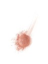 Bourjois Pastel Blush Fard Blush 2 5 g 03 Brun Cuivre