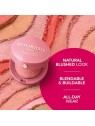 Bourjois Fard Pastello Fard Blush 25g 16 Rose Coup de Foudre