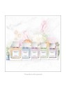 Vera Wang Embrace French Lavender And Tuberose eau de toilette donna 30ml