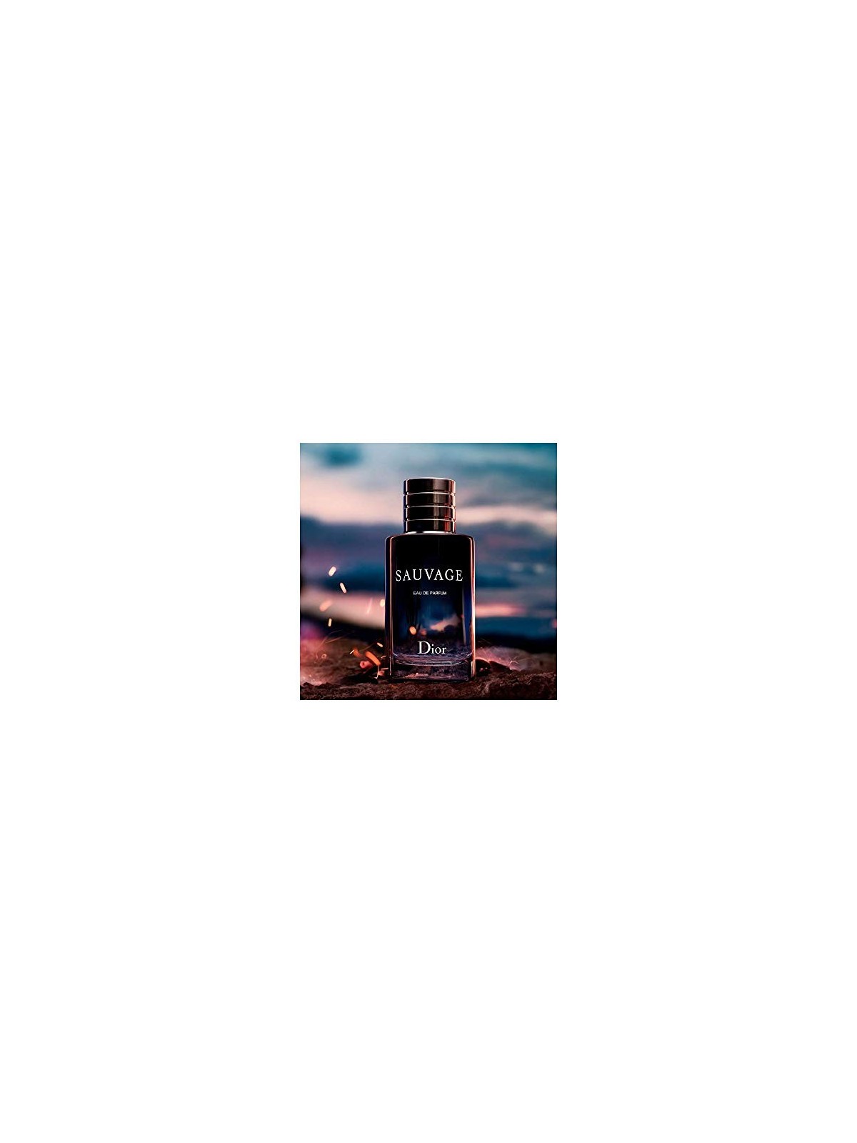 Dior SAUVAGE Eau de Parfum Spray 100ml