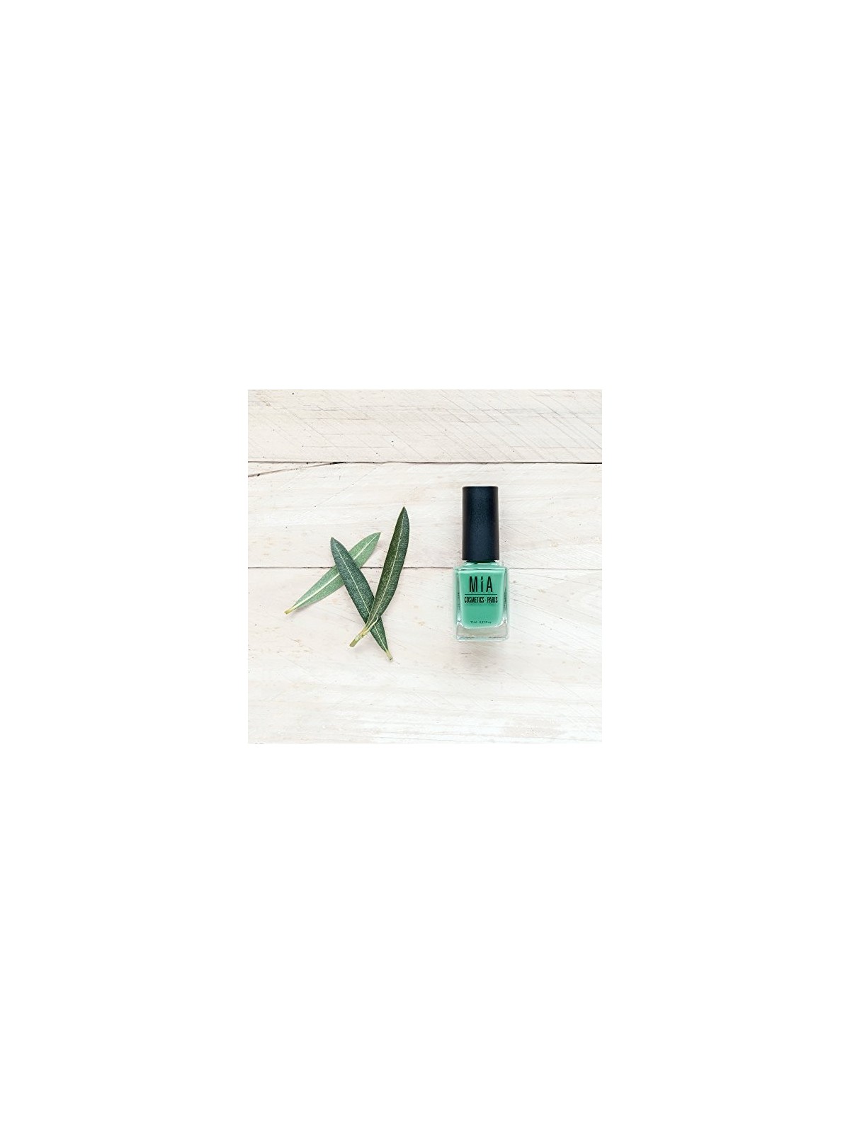 SMALTO jade donna