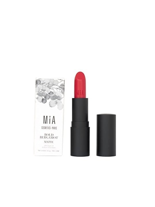 Rossetto Opaco 504 Bergamotto Audace Donna