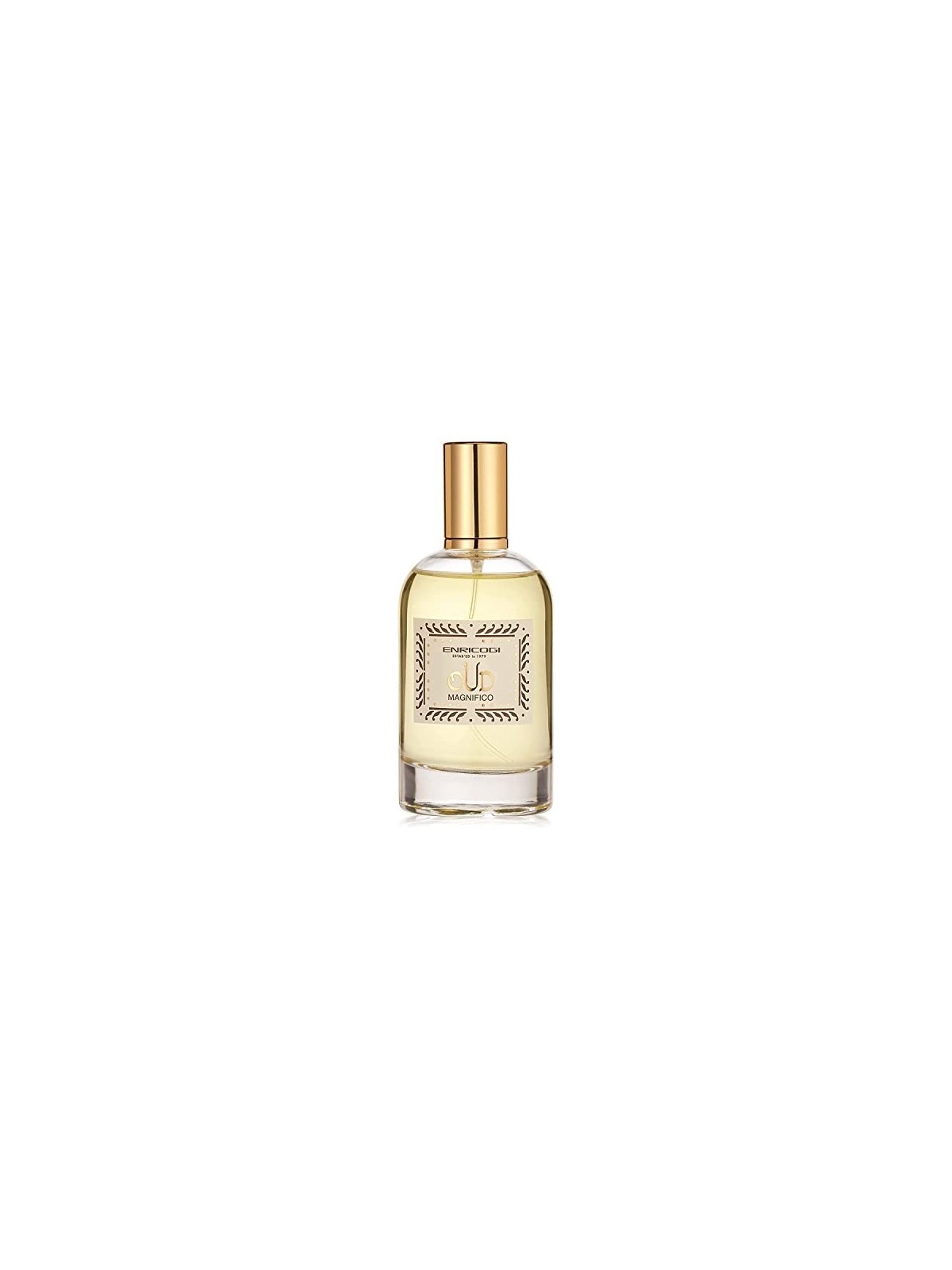 Enrico Gi Oud Magnifico Eau De Parfum 100 ml unisex