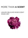 L'Oreal Paris Color Riche Vernis A L'Huile B02 Acqua di Rosa