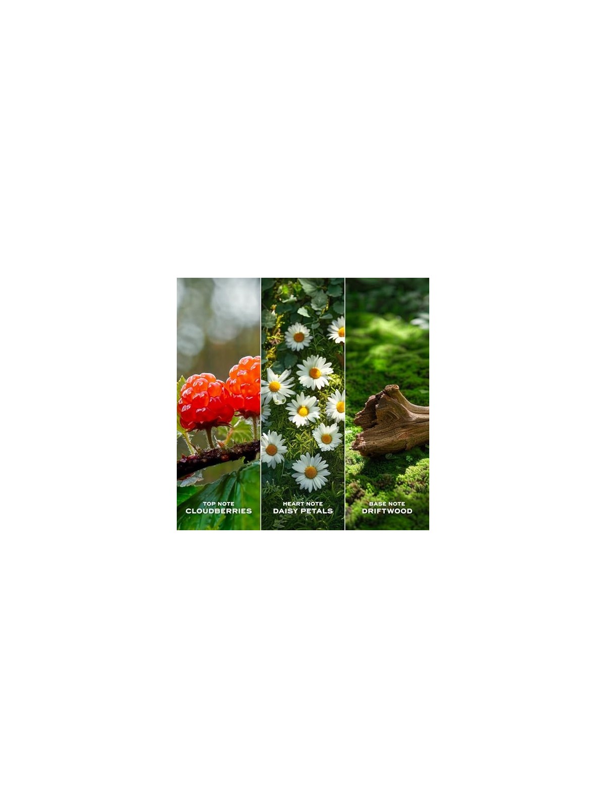 Daisy Love Eau de Toilette 50ml