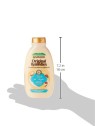 Shampoo elisir di argan Garnier 300ml