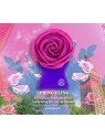 Bond No.9 Spring Fling eau de parfum Spray donna 100ml