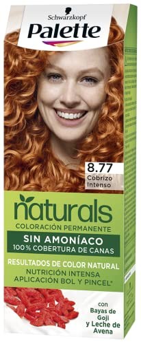 Palette PALETTE NATURAL tinte 877cobrizo intenso 1 u Donna