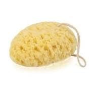 DONEGAL Bath Sponge spugna lavaggio 6009
