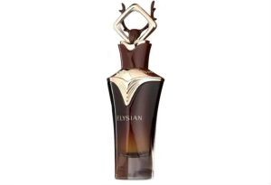French Avenue Elysian eau de parfum uomo 80ml