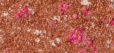 PUPA Milano Ombretti altamente pigmentati Vamp! Ombretto compatto 1,5 g - Tonalità: 204 Fancy Copper - Gems donna