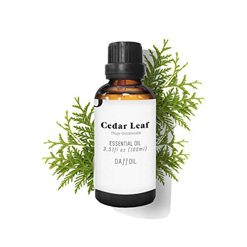 Daffoil ACEITE ESENCIAL hoja de cedro 100ml unisex 100ml