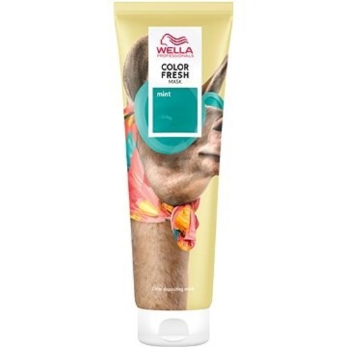 Wella Professional Color Fresh Color Depositing Mask 150 ml Red donna