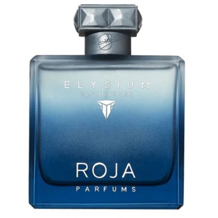 Roja Parfums Elysium Eau Intense eau de parfum uomo 100ml