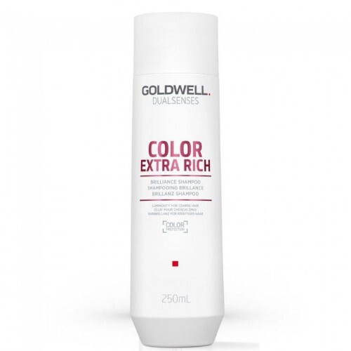 Goldwell Shampoo per la cura extra dei capelli colorati Dualsenses Color Extra Rich Brilliance Shampoo - Volume: 250ml donna